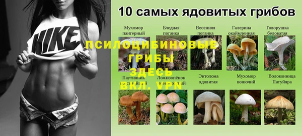 каннабис Гусь-Хрустальный
