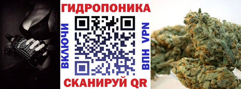 Конопля планчик  купить  сайты  Бирюсинск 